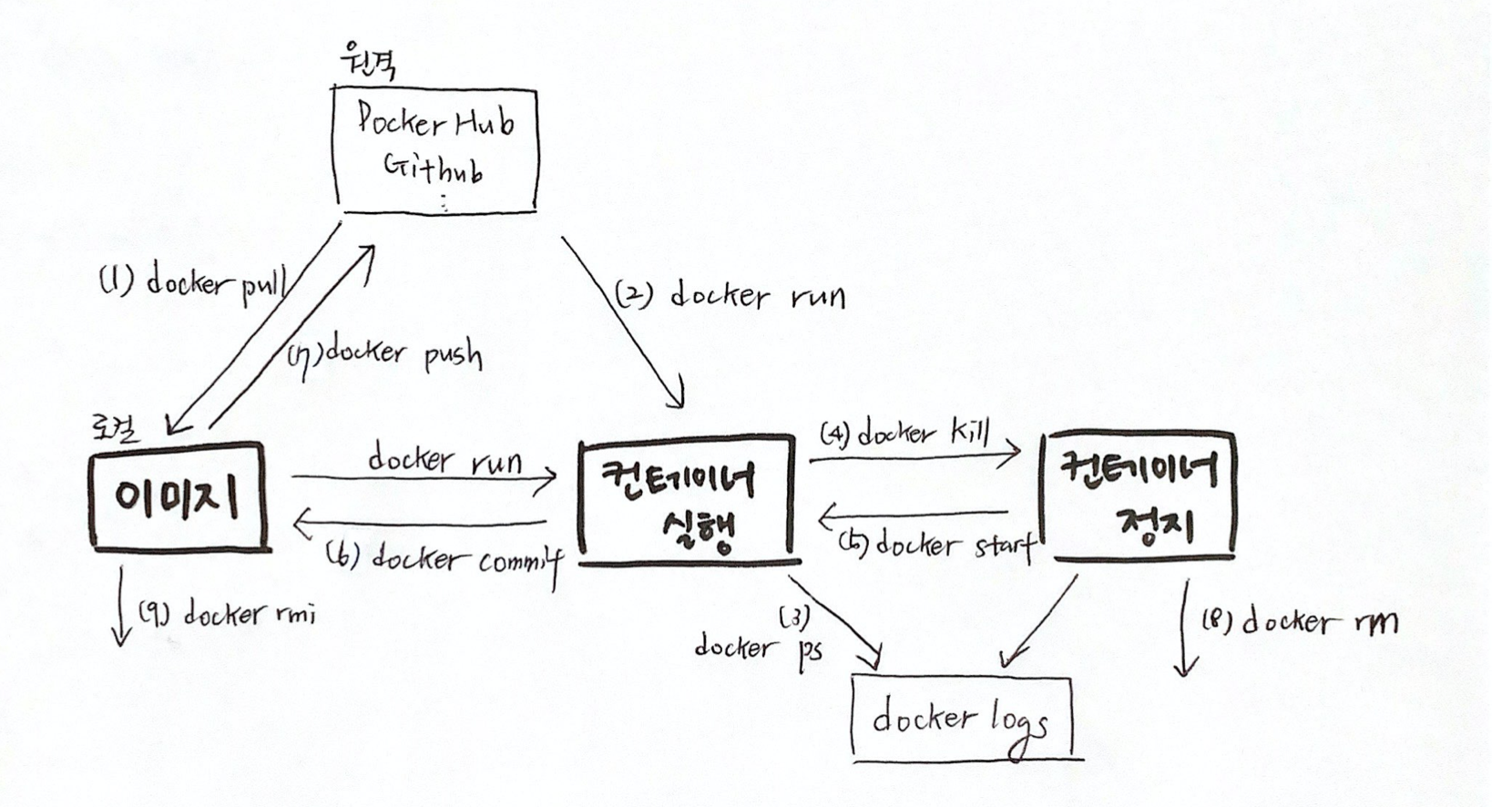 lifecycle